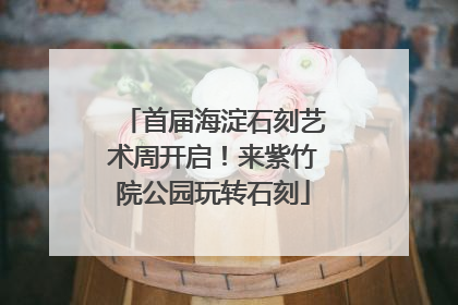 首届海淀石刻艺术周开启！来紫竹院公园玩转石刻